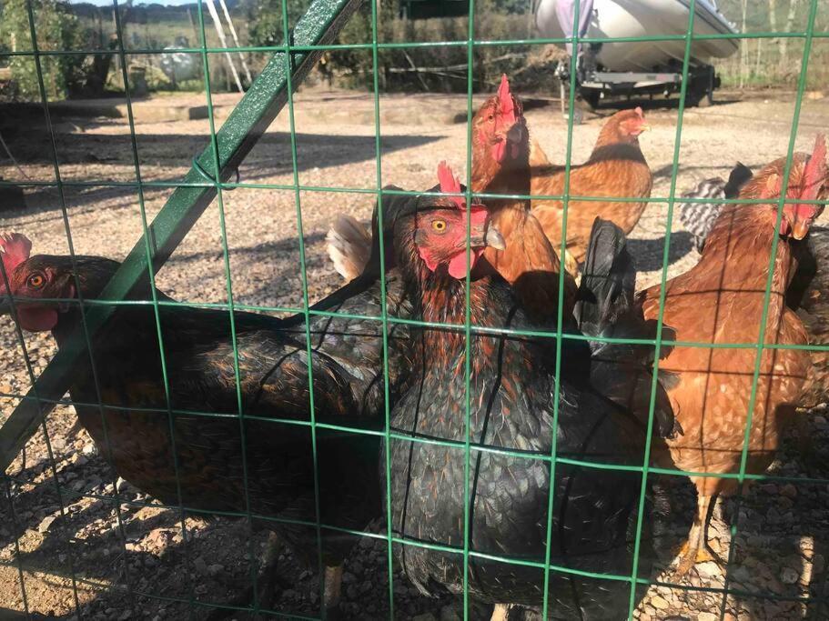 Agriturismo Il Sorbino - Appartamento Da Cocca Pian d'Alma 외부 사진