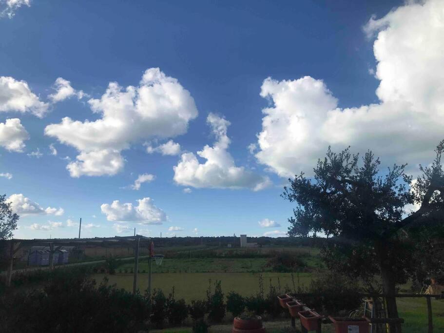 Agriturismo Il Sorbino - Appartamento Da Cocca Pian d'Alma 외부 사진