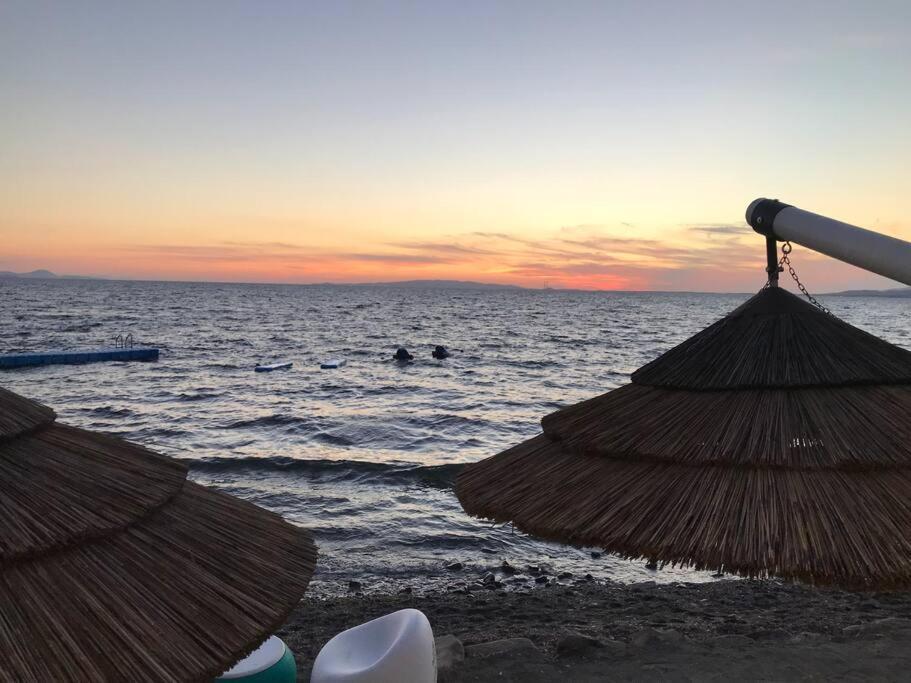 Agriturismo Il Sorbino - Appartamento Da Cocca Pian d'Alma 외부 사진
