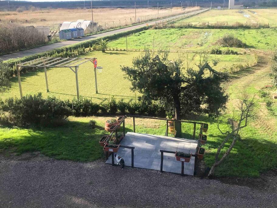 Agriturismo Il Sorbino - Appartamento Da Cocca Pian d'Alma 외부 사진